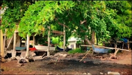 Bad Monkey - Season 01 Episode 10